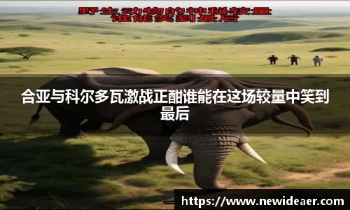 合亚与科尔多瓦激战正酣谁能在这场较量中笑到最后